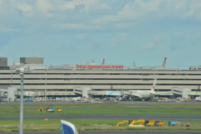 DSC_4041 (Large).JPG